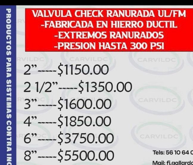 Valvula Check Ranurada UL/FM - Image 2